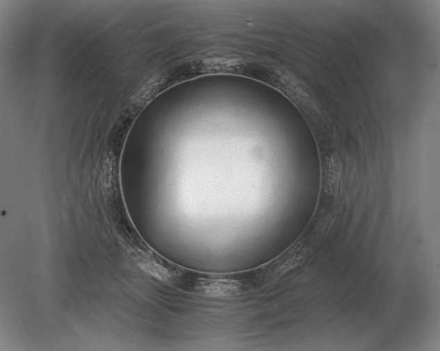 X0000079300463200612011754