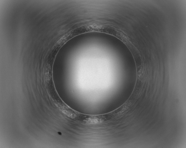 X0000079300464200612011754
