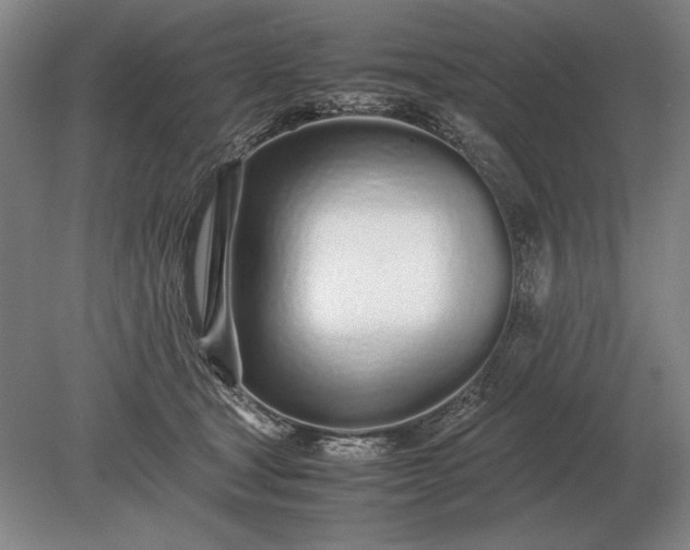 X0000079300465200612011754
