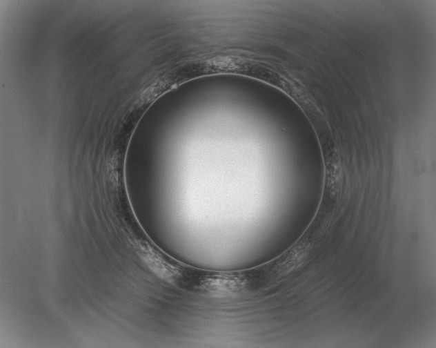 X0000079300466200612011754