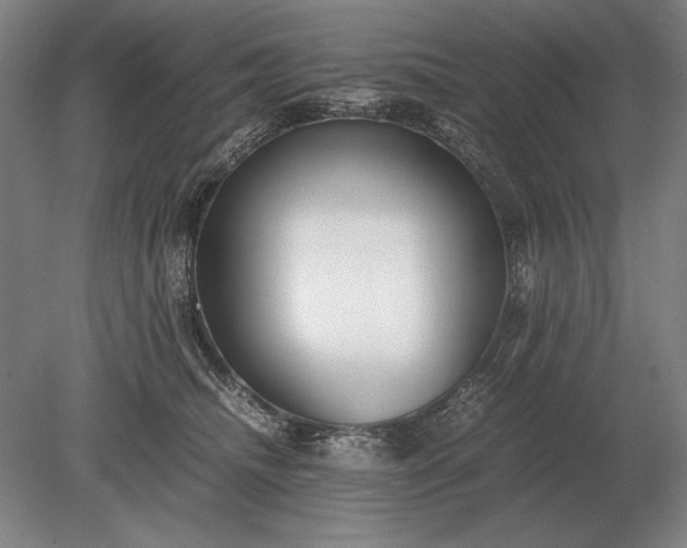 X0000079300468200612011754