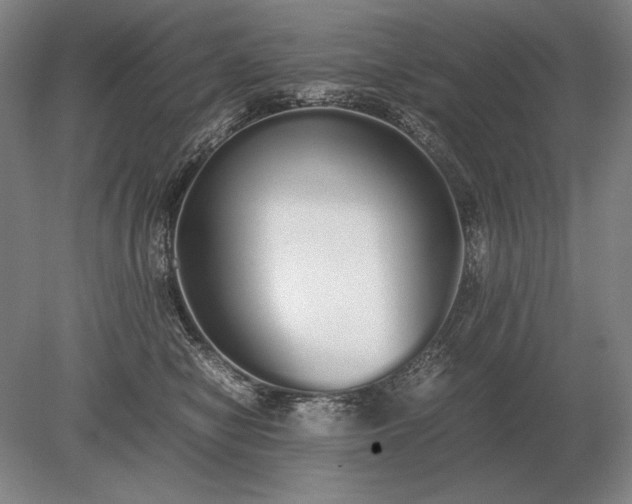X0000079300470200612011754