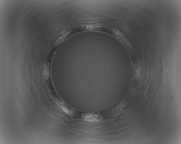 X0000079300471200612011754