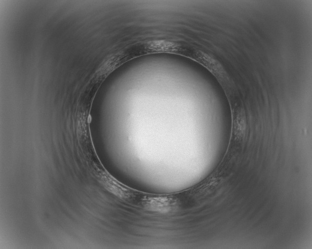 X0000079300473200612011754