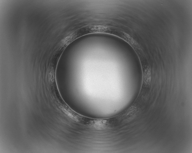 X0000079300474200612011754