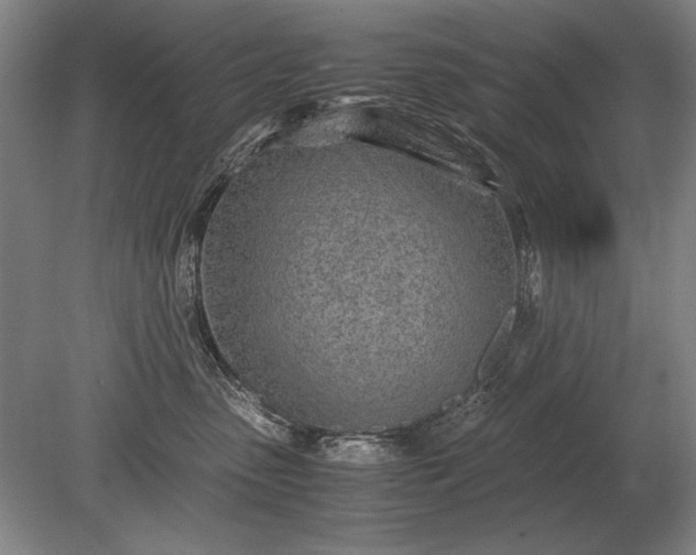 X0000079300475200612011754