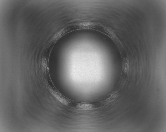 X0000079300476200612011754