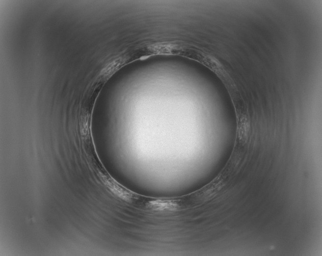 X0000079300477200612011754