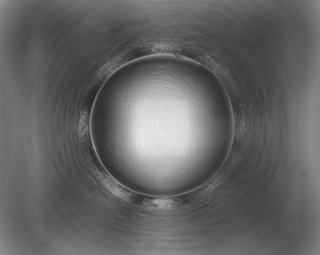X0000079300478200612011754