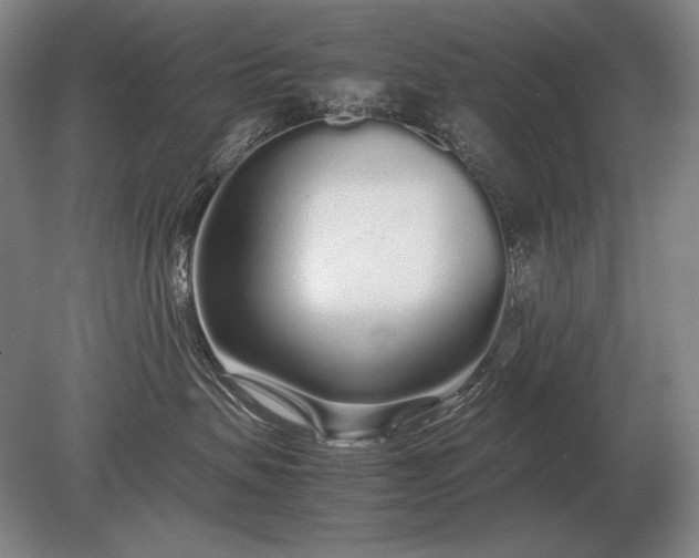 X0000079300479200612011754