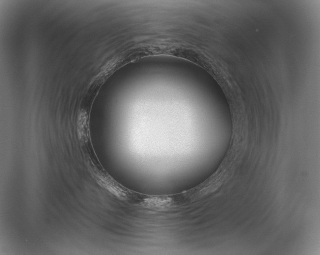 X0000079300480200612011754
