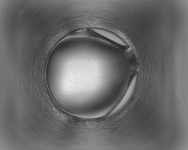 X0000079300481200612011754