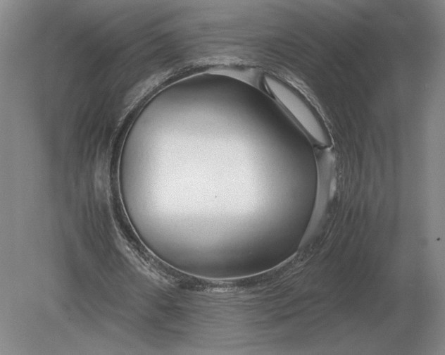 X0000079300482200612011753