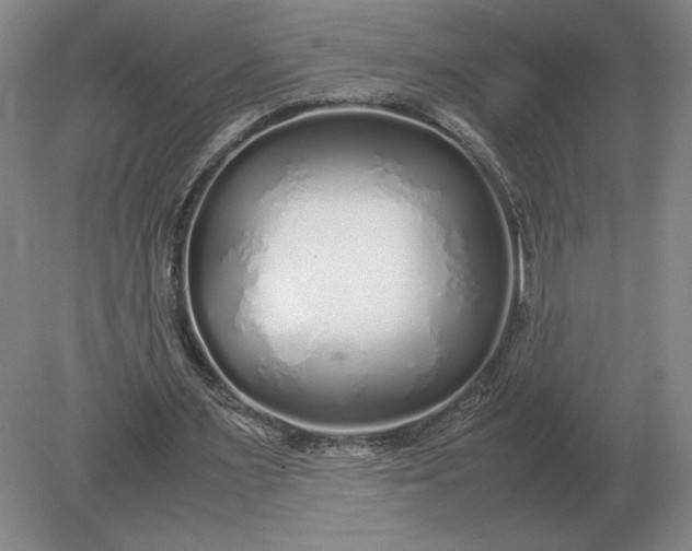 X0000079300483200612011753