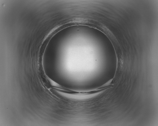 X0000079300484200612011753