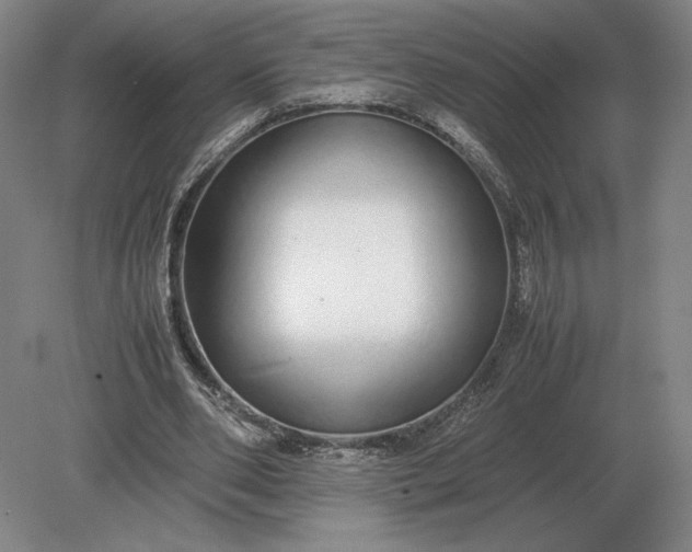 X0000079300486200612011753