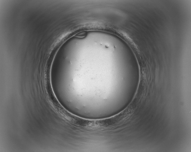 X0000079300487200612011753