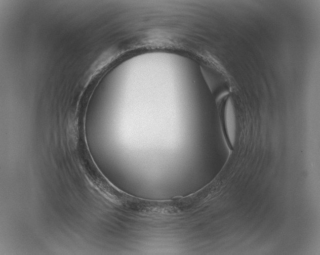 X0000079300488200612011753
