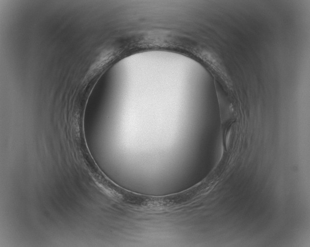 X0000079300489200612011753
