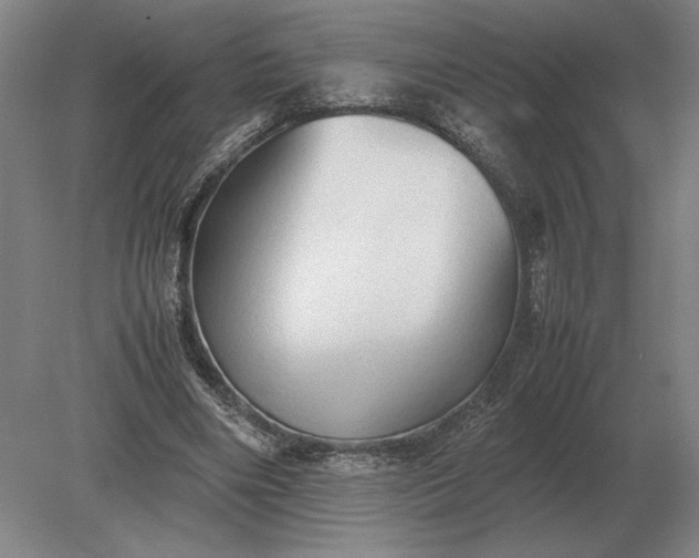 X0000079300490200612011753