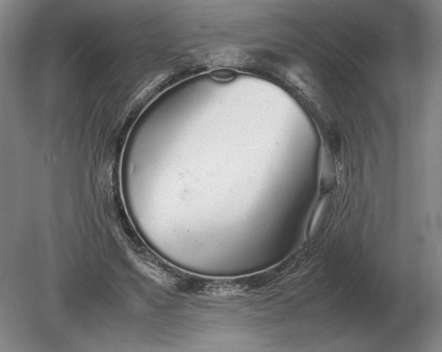 X0000079300491200612011753