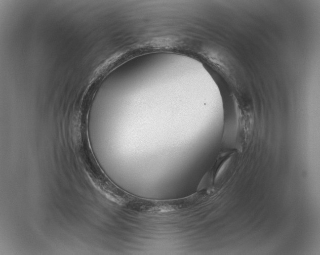 X0000079300492200612011753