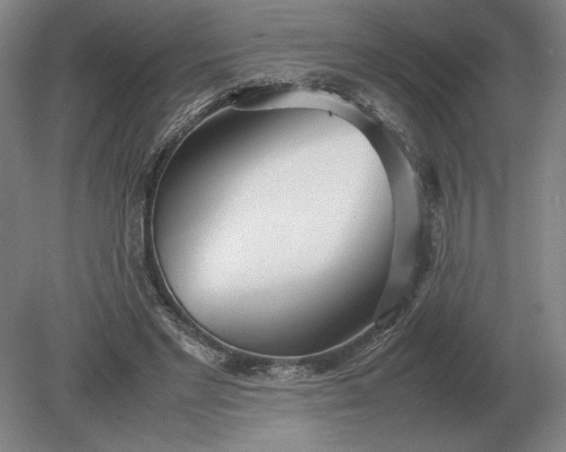 X0000079300493200612011753