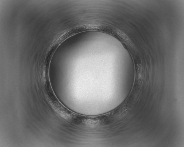 X0000079300494200612011753
