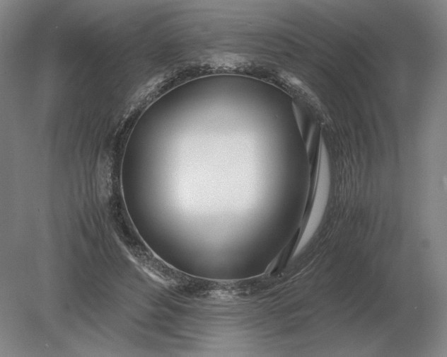 X0000079300496200612011753