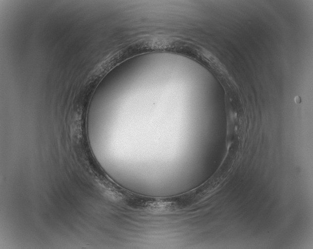 X0000079300497200612011753