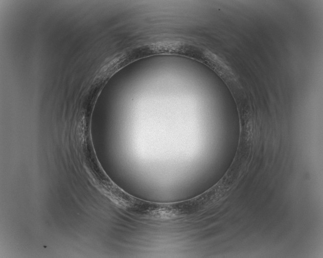 X0000079300498200612011753