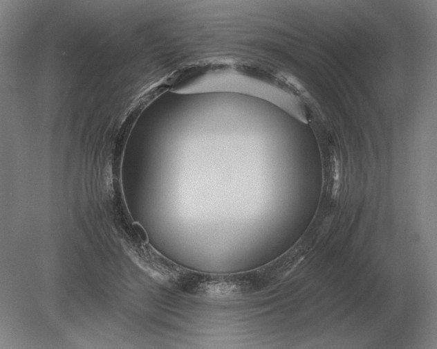 X0000079300500200612011753