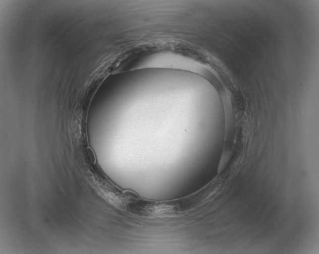X0000079300501200612011753