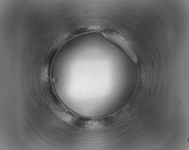 X0000079300502200612011753