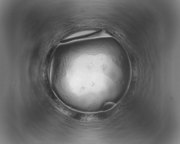 X0000079300503200612011753