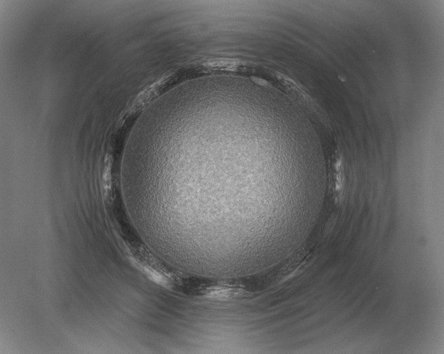 X0000079300504200612011753
