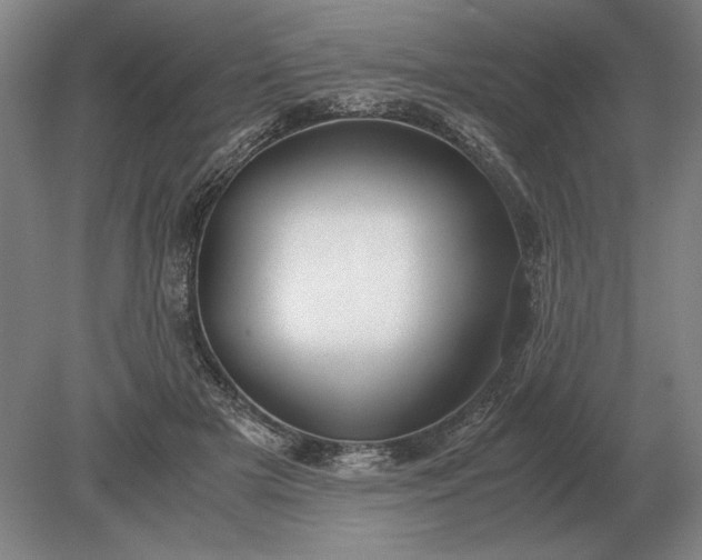 X0000079300505200612011753