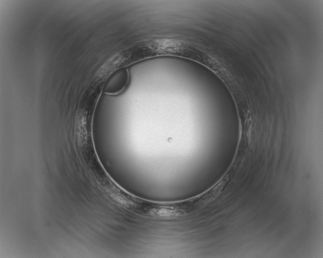 X0000079300506200612011753
