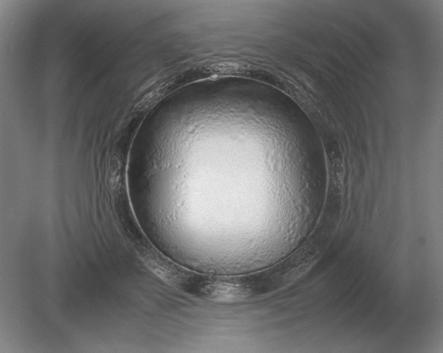 X0000079300507200612011753