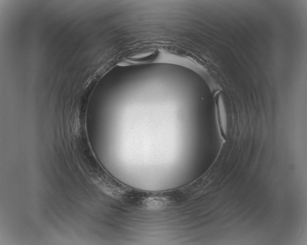 X0000079300508200612011753