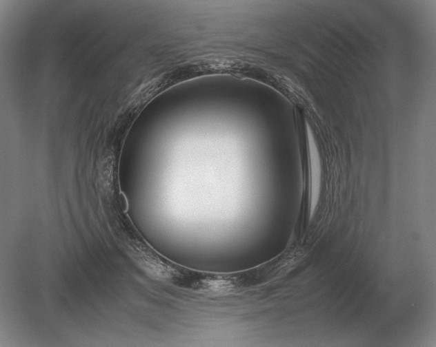 X0000079300509200612011753