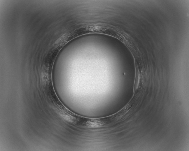 X0000079300510200612011753