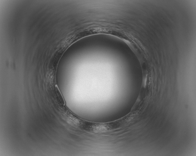 X0000079300513200612011753