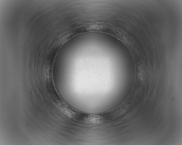 X0000079300514200612011753