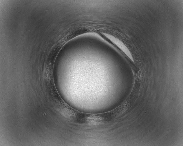 X0000079300515200612011753