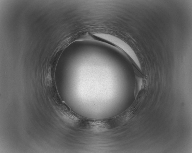 X0000079300516200612011753