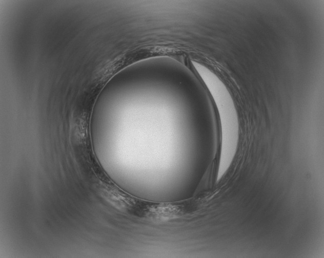 X0000079300517200612011753
