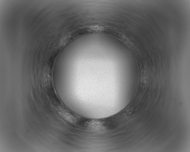 X0000079300518200612011753