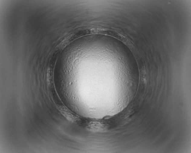 X0000079300519200612011753