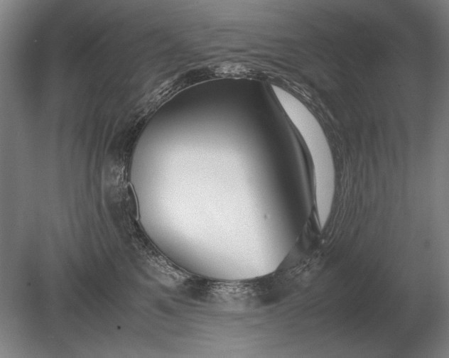 X0000079300521200612011753